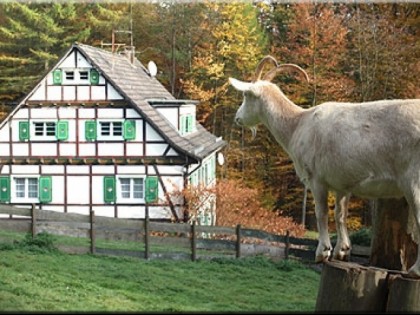 Foto: Bergische Schweiz